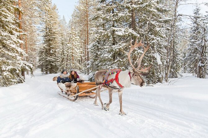 Santa's Reindeer & Husky Safari + Aurora BBQ in Rovaniemi - Food, Welcome Treats, and What’s Included (and What Isn’t)