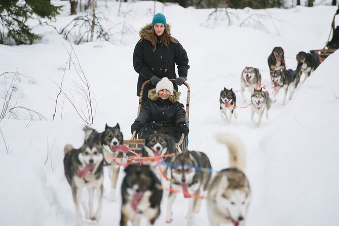 Santa's Reindeer & Husky Safari + Aurora BBQ in Rovaniemi - How Much Riding Time Do You Really Get?
