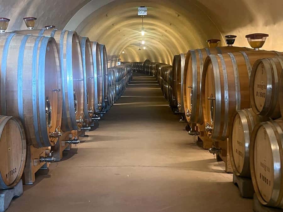 Santa Ynez: 3-Winery Tour Includes Tastings and Lunch - Price and Value: Is $149 Worth It?
