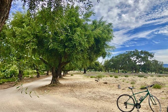 Santa Ynez Valley Biking and Wine Tasting Tour - Rideau Vineyard tasting: your first official pour