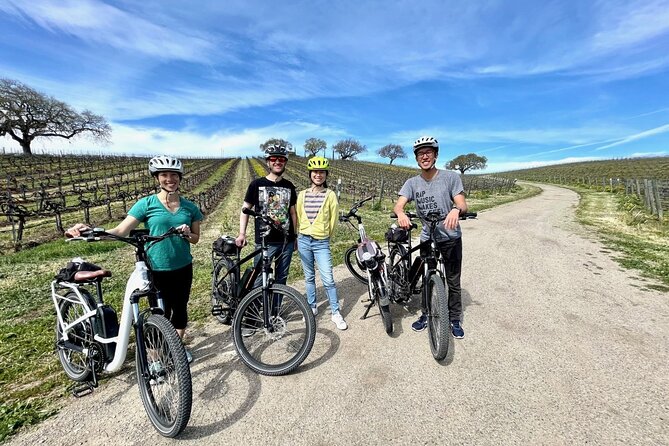 Santa Ynez Valley Biking and Wine Tasting Tour - Price and value: why $175 can make sense here