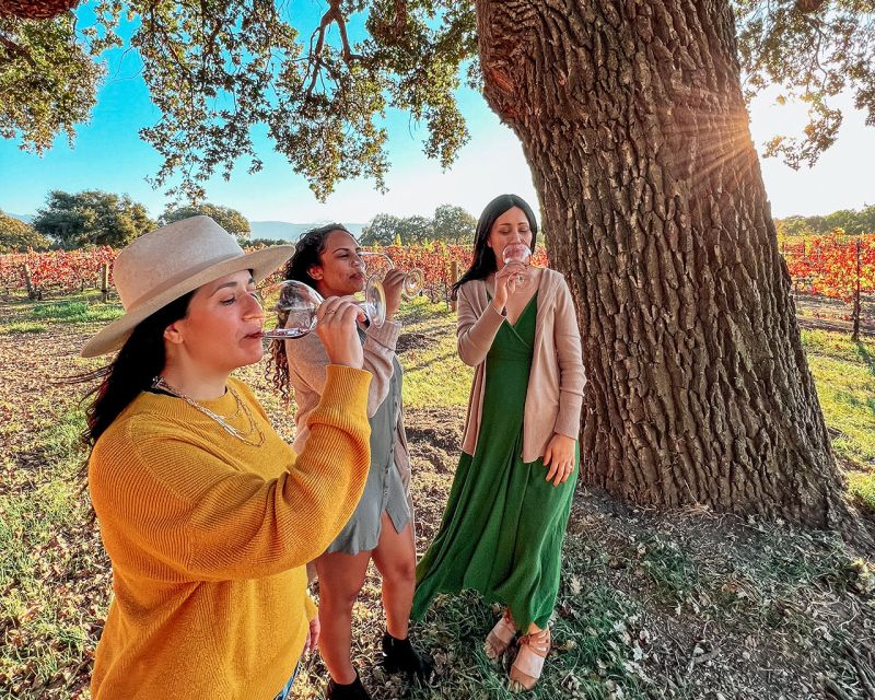 Santa Ynez: Wine Country Tour - Lunch in the shade: the midday reset you’ll feel later