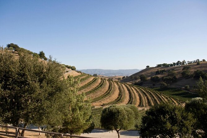Santa Ynez: Wine Shuttle - Key highlights worth your attention