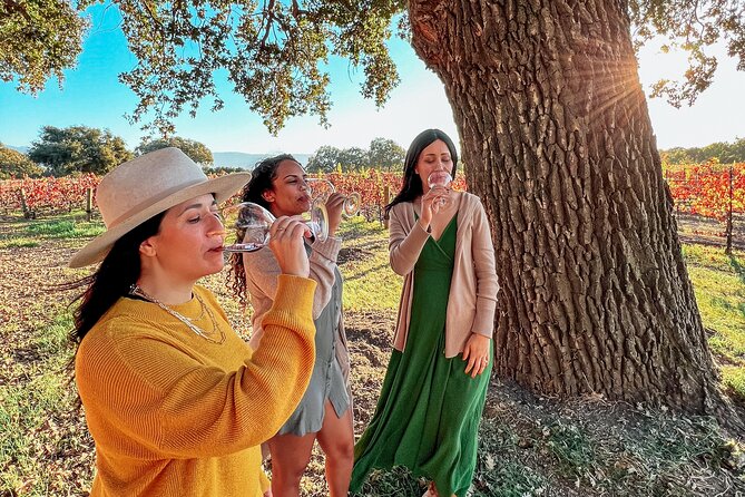 Santa Ynez: Wine Shuttle - Who should book this Santa Ynez Wine Shuttle—and who might want a different style