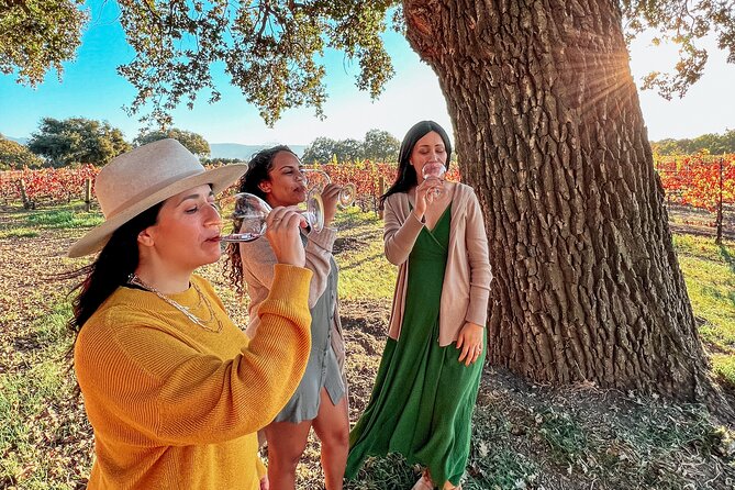 Santa Ynez Wine Tour (All-Inclusive) - The Day’s Core Structure: Three Wineries Plus Lunch in the Vines