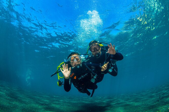 Scuba Diving Baptism Experience in Santa Cruz Tenerife - The 3-hour flow: what happens from arrival to videos