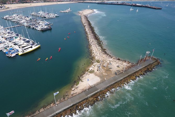 Sea Lion Kayak Tour - Santa Barbara Harbor - Price and What $70 Buys You in Real Terms