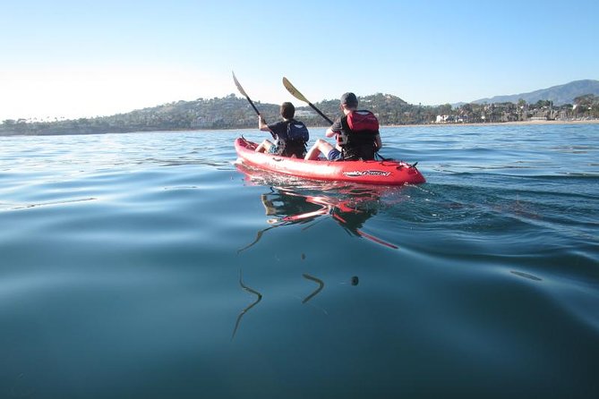 Sea Lion Kayak Tour - Santa Barbara Harbor - Two Hours on the Water: Wildlife, a Green Buoy, and Harbor Views
