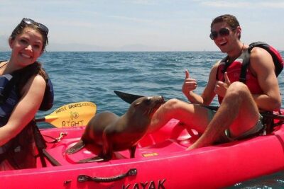 Sea Lion Kayak Tour - Santa Barbara Harbor - Paddle Sports Center: The Start Point That Keeps Things Simple