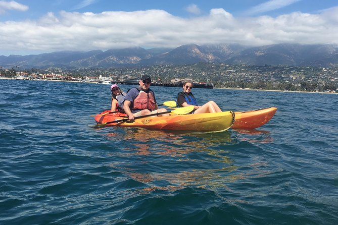 Sea Lion Kayak Tour - Santa Barbara Harbor - Guide Support, Skill Levels, and Group Size That Actually Works