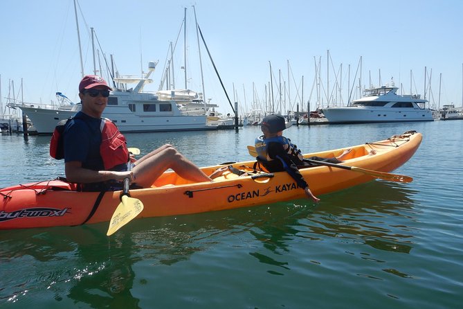 Sea Lion Kayak Tour - Santa Barbara Harbor - Families, Ages, and When This Tour Is the Right Fit