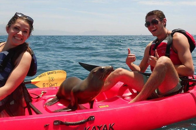 Sea Lion Kayak Tour - Santa Barbara Harbor - Paddle Sports Center: The Start Point That Keeps Things Simple