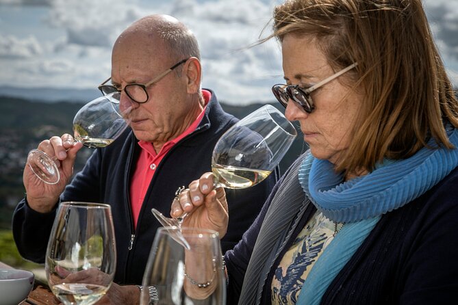 Selection Tasting | Quinta de Santa Cristina Vinho Verde - Key highlights that make this tasting worth it