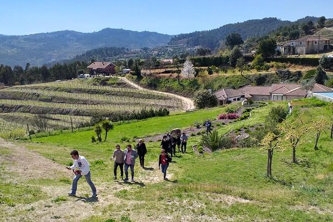 Selection Tasting | Quinta de Santa Cristina Vinho Verde - Rooftop moments and the on-site shop: take home what you actually liked