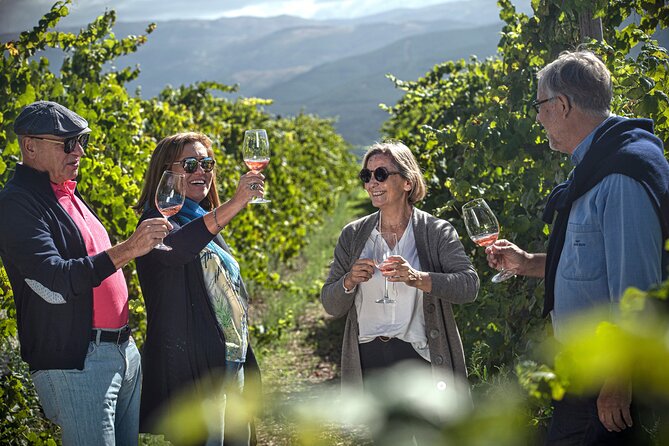 Selection Tasting | Quinta de Santa Cristina Vinho Verde - Vineyard tour: learning the grapes without making it a lecture