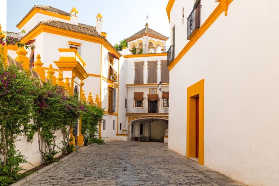 Seville: Barrio de Santa Cruz Small Group Walking Tour - Barrio Santa Cruz on foot: what this tour is really about