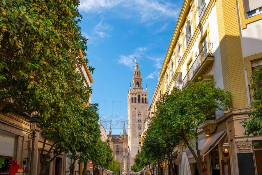 Seville: Barrio de Santa Cruz Small Group Walking Tour - Who should book this walking tour (and who might skip)