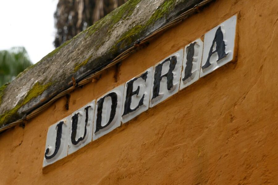 Seville: Barrio de Santa Cruz Small Group Walking Tour - Should you book: my practical recommendation