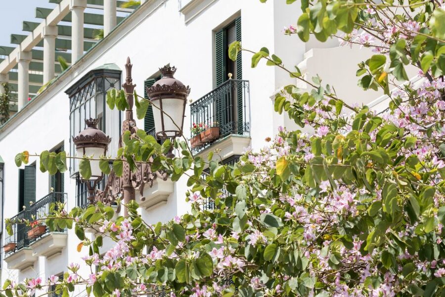 Seville Jewish Quarter walking tour: Santa Cruz District - Callejón del Agua: poetry, whispers, and the power of water