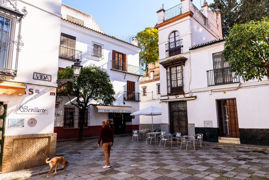Seville: Santa Cruz Old Jewish Quarter Walking Tour - Why Santa Cruz’s Old Jewish Quarter Feels Like a Secret Map