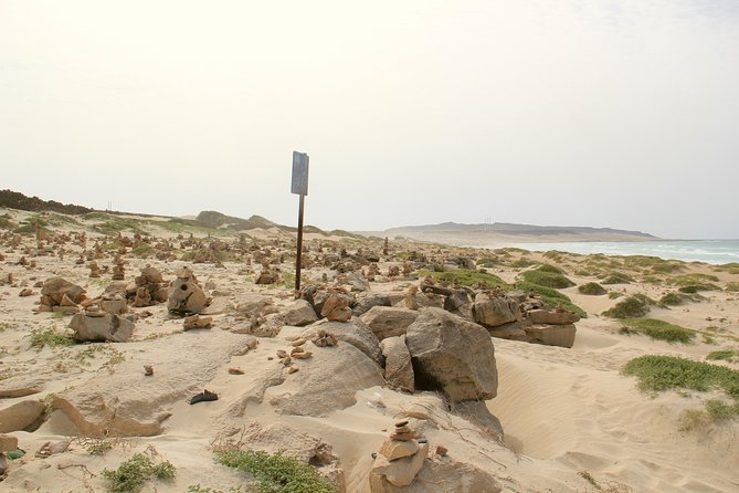 Shipwreck Cabo Santa Maria - Deserto de Viana: Sand Sledding and Dune Time