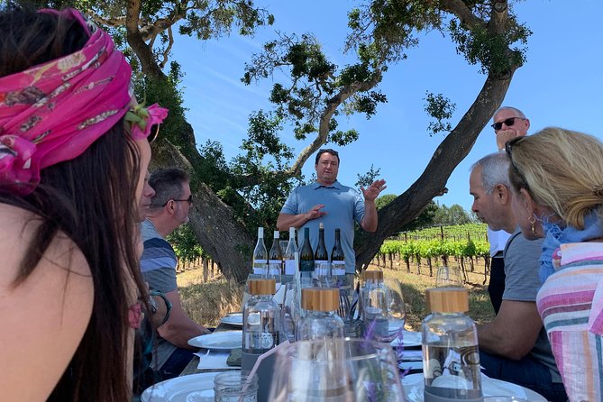 Small-Group Wine Tasting Tour of Santa Barbara Wine Country - Lunch Included: Organic, Made to Order, and Adaptable