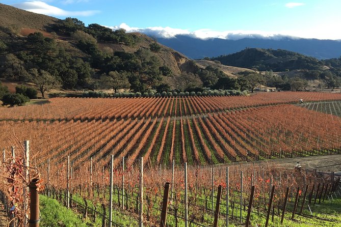 Small-Group Wine Tasting Tour of Santa Barbara Wine Country - Around Three Estate Stops: How the Day Flows