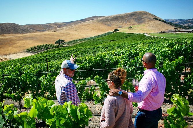 Small-Group Wine Tour to Private Locations in Santa Barbara - Private Santa Barbara Wineries: What You’re Actually Paying For
