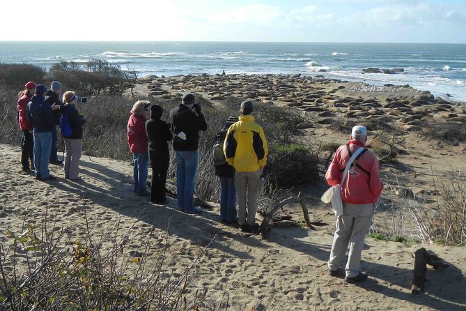 Smartphone Driving Tour between Santa Maria & Monterey 'Big Sur' - Timing: What 4 to 5 Hours Typically Means for Your Day