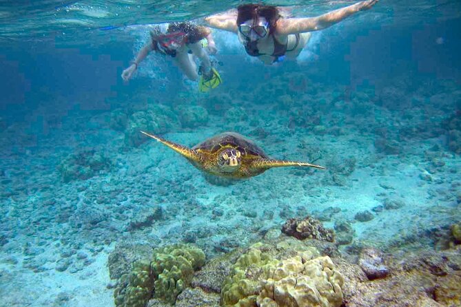 Snorkeling Experience in Santa Maria Bay by boat - Key Highlights to Know Before You Go