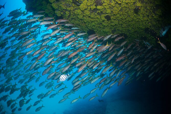 Snorkeling Experience in Santa Maria Bay by boat - The boat ride and the waves reality check