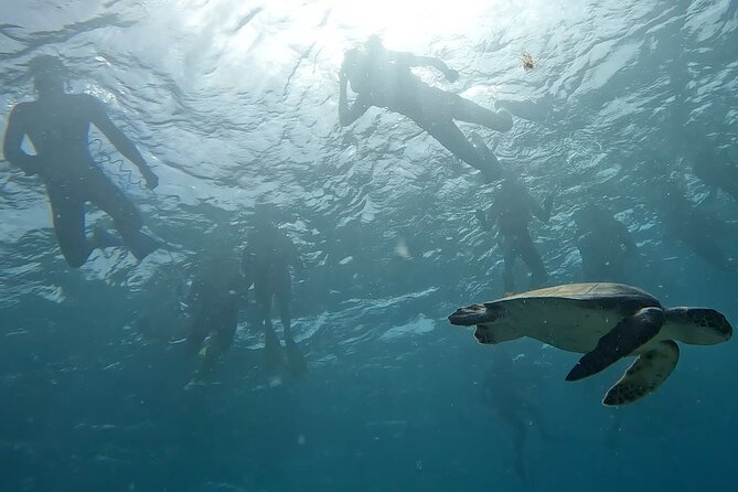 Snorkeling Experience in Santa Maria Bay by boat - Language during the briefing: plan for English, confirm what you need