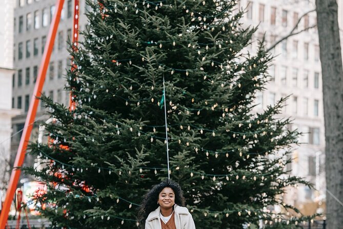 St. Louis Private Christmas Spectacular Tour - Key Highlights Worth Knowing