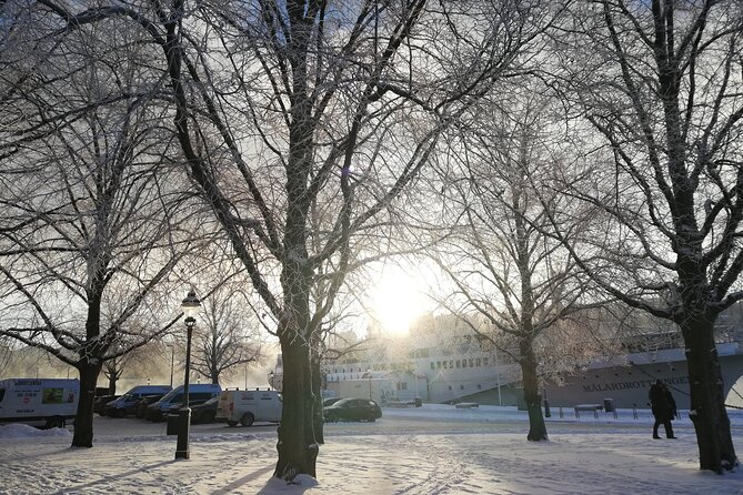 Stockholm Christmas Tour and Food Tasting Experience - Stop 2: The German Church Pass-By and Swedish Traditions