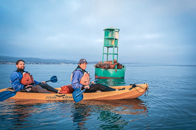 Sunset Kayak Tour in Santa Barbara Harbor (2 Hours) - Stop 1 at Stearns Wharf: a closer look at harbor life and wharf energy