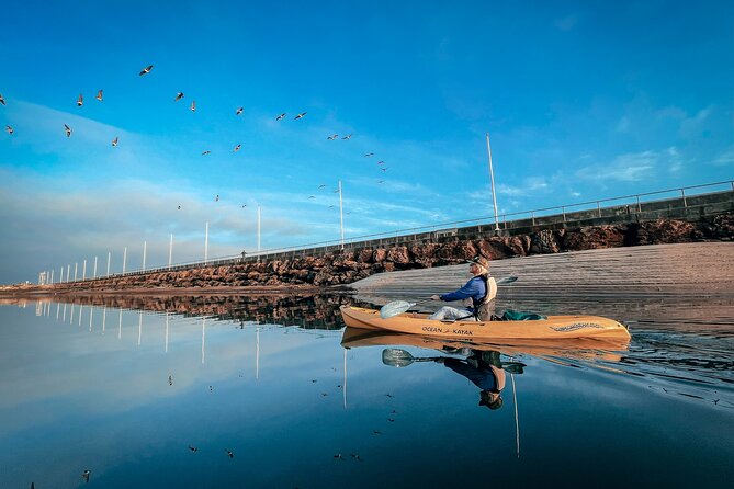 Sunset Kayak Tour in Santa Barbara Harbor (2 Hours) - Choosing your kayak: doubles are the default, singles depend on availability