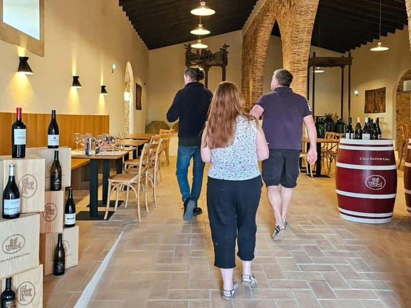 Tavira, Santa Luzia & Wine Tasting - Who this tour is best for (and who should skip it)