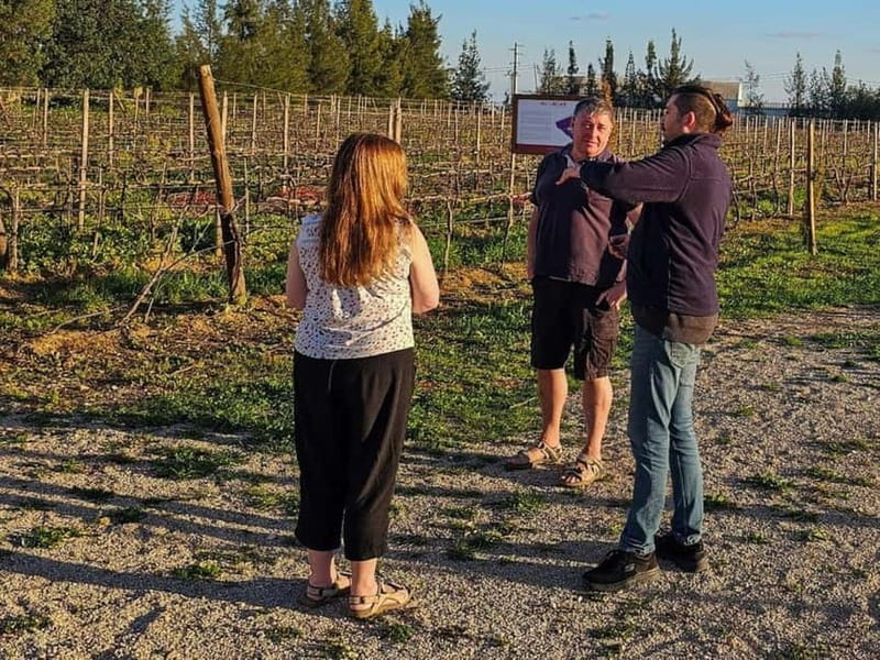 Tavira, Santa Luzia & Wine Tasting - Quick practical notes before you book