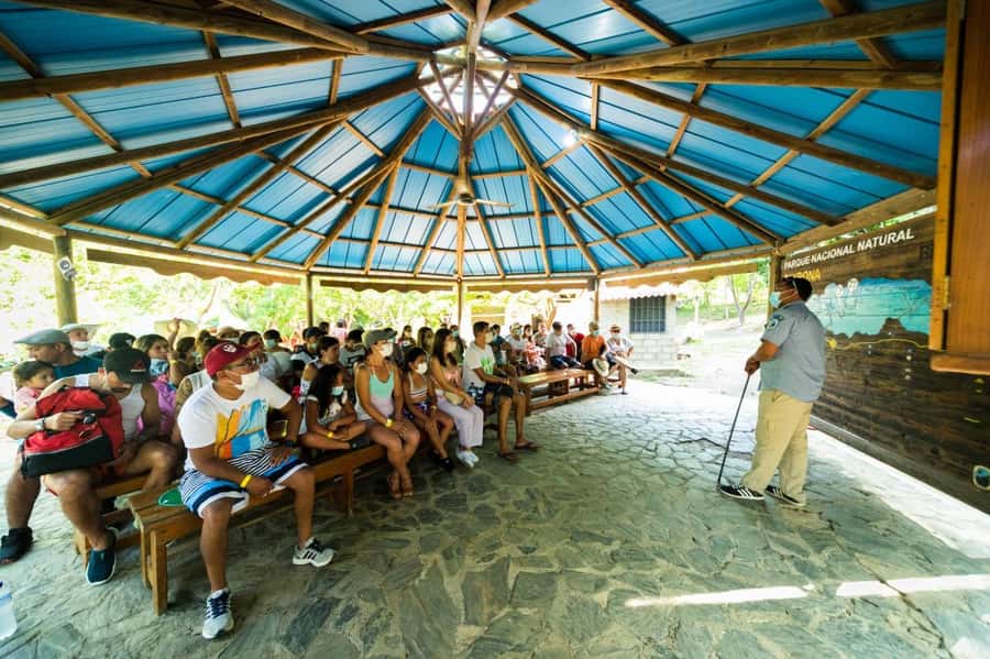 Tayrona Park adventure in Santa Marta: Cabo San Juan from Cartagena - Conservation talk and the 2-hour humid trail