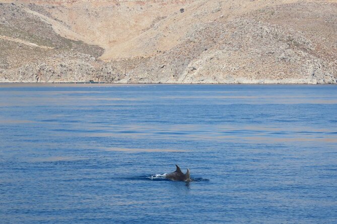 The Santa Maria 3 Island Cruise in the Aegean w/ Free Audio Guide - Price and what you really get for $30.25