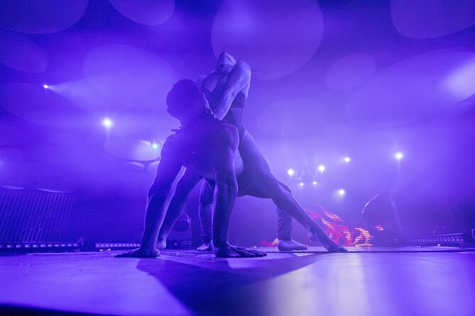 Ticket for Scandal Dinner Show in Santa Cruz de Tenerife - Key things to know before you go