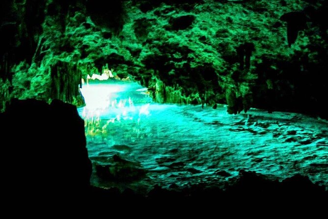 Tour Cenote Santa Cruz - Your guide and small-group pacing (why Viktor matters)