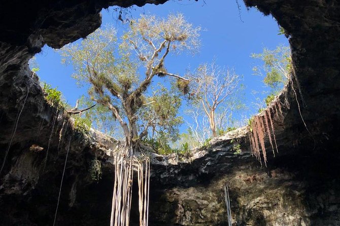 Tour Cenotes Santa Bárbara - The water experience: swimming, floating, and getting comfortable