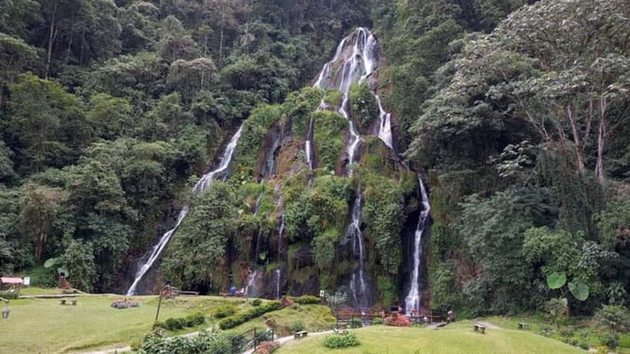 Tour Santa Rosa hot springs from Pereira, Armenia or Salento - Temperature pools and the real expectations for cascades