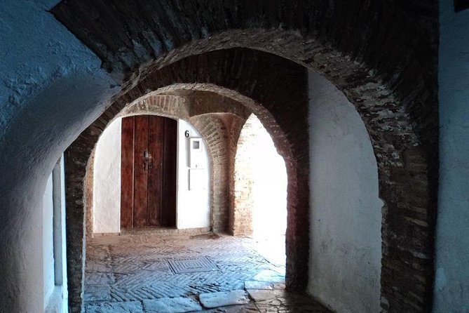 Tour Seville Complete and Jewish Quarter Santa Cruz - Guadalquivir and Triana: finishing at Torre del Oro with big picture rewards