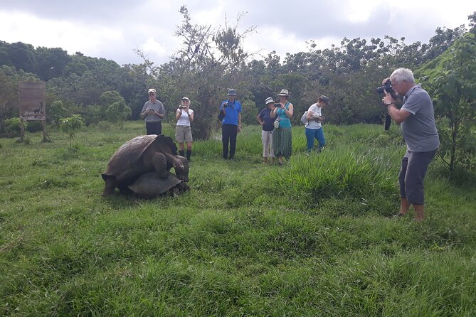 Transfer Airport-hotel in Galapagos Santa Cruz with visit to Giant Tortoises - Santa Cruz pickup: when your group becomes private