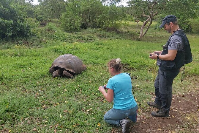 Transfer Airport-hotel in Galapagos Santa Cruz with visit to Giant Tortoises - Timing and pacing: how to make 3.5 hours feel like more