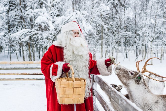 Trip to Arctic Circle, Santa Claus Village and Santas Reindeer - Key things to know before you go