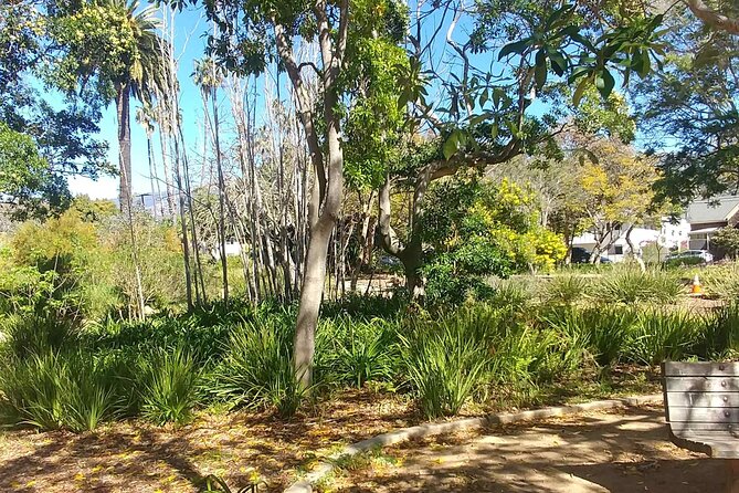Ultimate Guide to Santa Barbara: A GPS Self-Guided Urban Stroll - Starting at Alameda Park: Early Roots in the Right Place