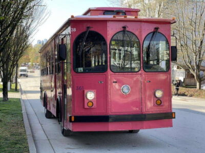 Vancouver Christmas Lights Karaoke Trolley Tour - Timing and group size: 3 hours with a max of 38